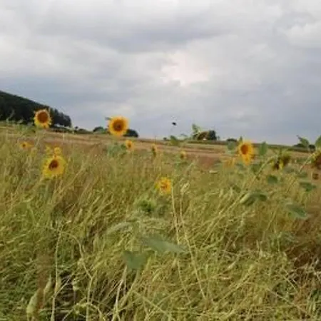 Landleben By Interhome Prázdninový dům *