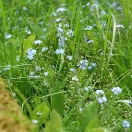 Holiday home Landleben By Interhome *