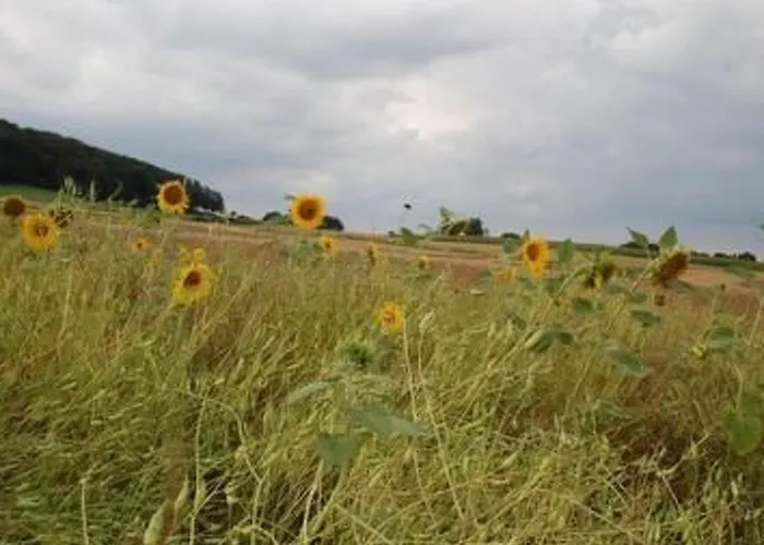 Landleben By Interhome Дом отдыха *