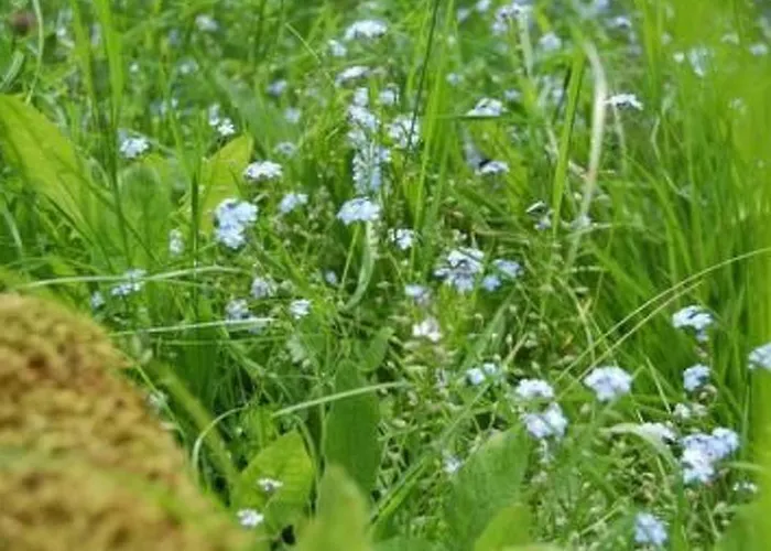 Holiday home Landleben By Interhome *